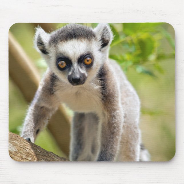 Baby ring-tailed lemur mouse pad (Front)