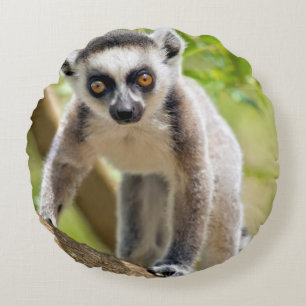 Baby ring-tailed lemur round pillow