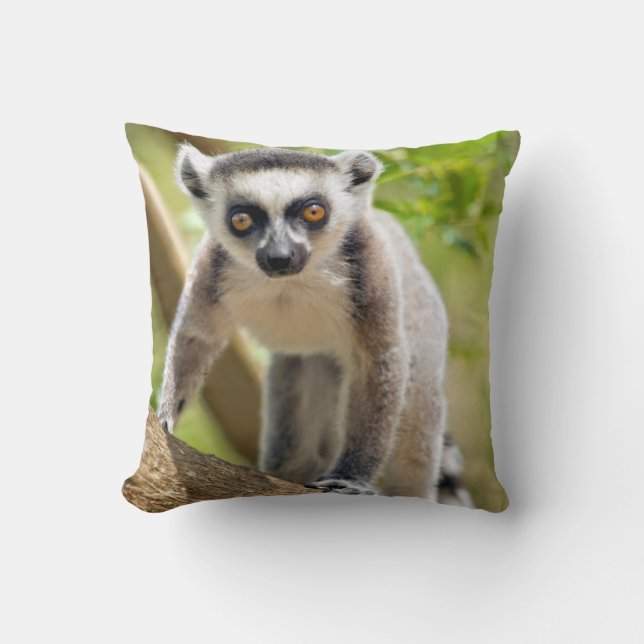 Baby ring-tailed lemur throw pillow (Front)