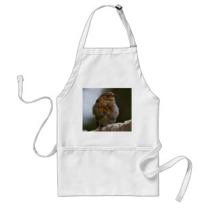 Baby Robin Apron
