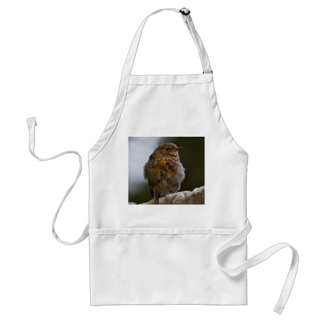 Baby Robin Apron (Front)
