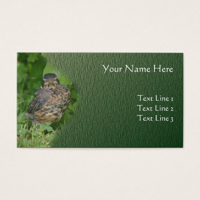 Baby Robin Fledgling Bird Animal Nature (Front)