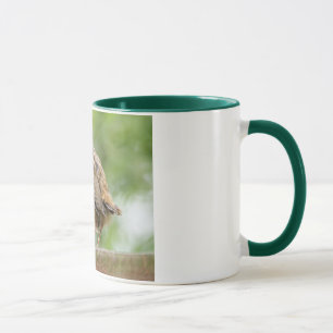 Baby Robin Mug