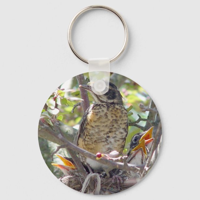 Baby Robins in the nest Keychain 2 (Front)