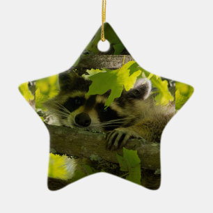 Baby Roccoon Ceramic Ornament