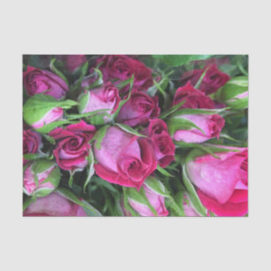 Baby rosebuds tissue paper