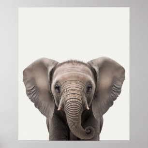 Baby Safari African Jungle Animals Elephant  Poster