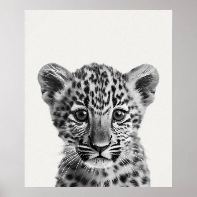 Baby Safari African Jungle Animals Leopard Poster (Front)