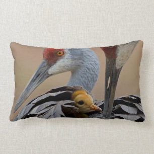 Baby Sandhill Lumbar Pillow