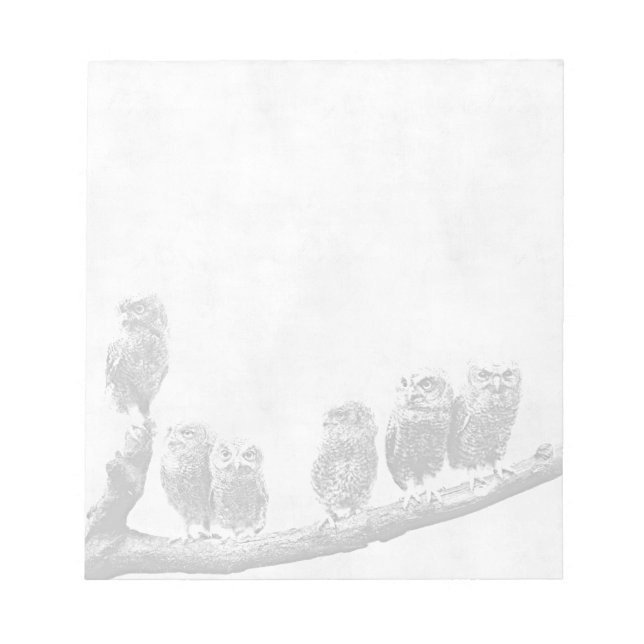 Baby Screech Owls Notepad (Front)