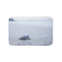 Baby Sea Turtle