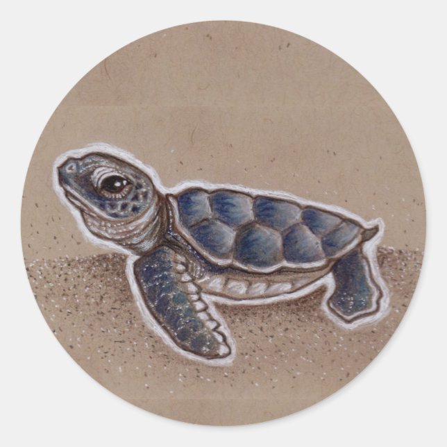 Baby Sea Turtle Drawing Classic Round Sticker (Front)