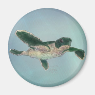 Baby Sea Turtle Magnet