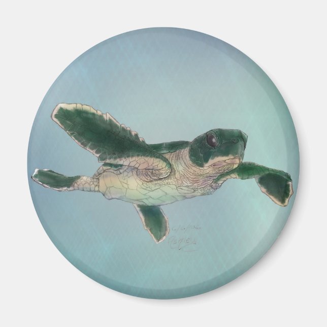 Baby Sea Turtle Magnet (Front)