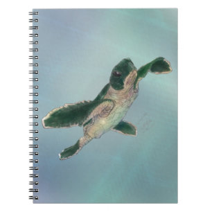 Baby Sea Turtle Notebook