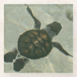 Baby Sea Turtle Swimming Out To Sea Glass Coaster