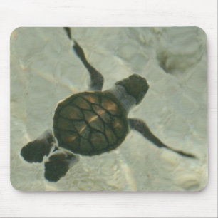 Baby Sea Turtle Swimming Out To Sea Mouse Pad