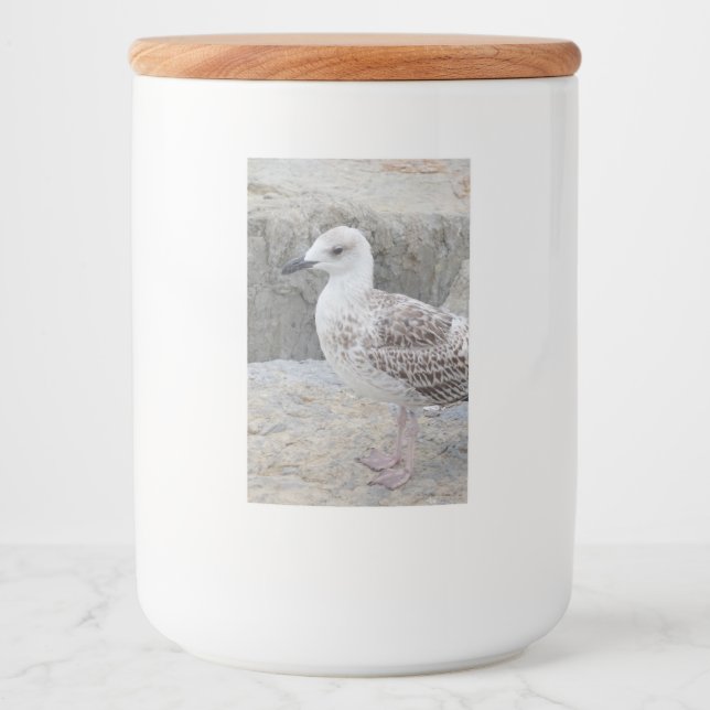 Baby Seagull Food Container Label (Front)