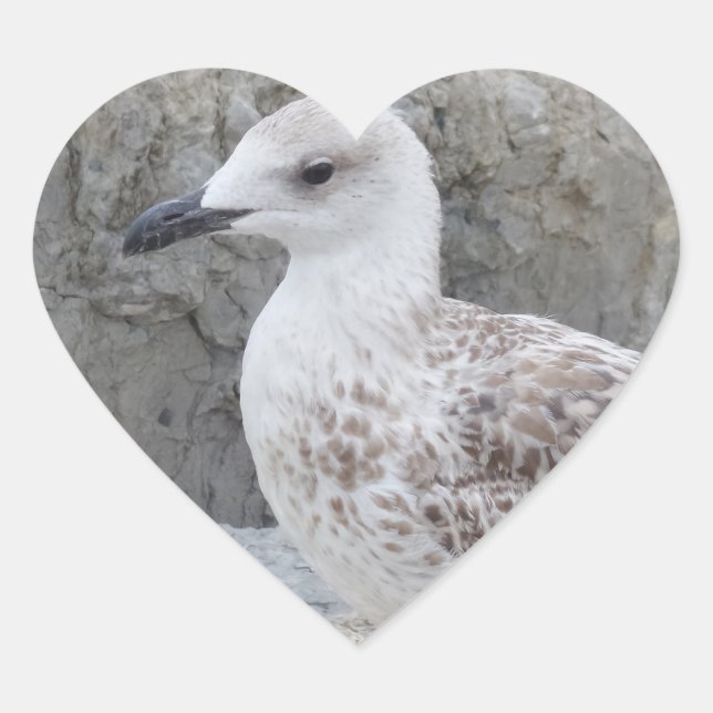 Baby Seagull Heart Sticker (Front)