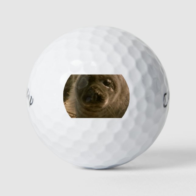 Baby seal face Golf Balls (Front)