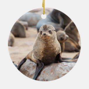 Baby Seal on Rock Ceramic Ornament