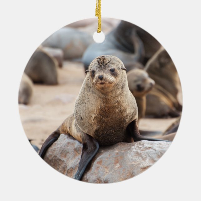 Baby Seal on Rock Ceramic Ornament (Back)