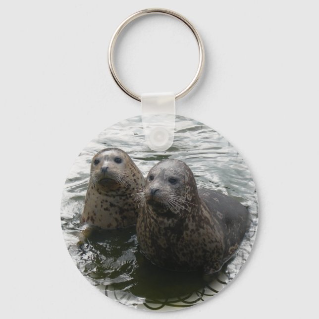 Baby Seals Keychain (Front)