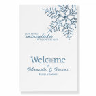 Baby Shower A Little Snowflake is on the Way