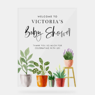 Baby shower Boho Poted Houplants Accueil
