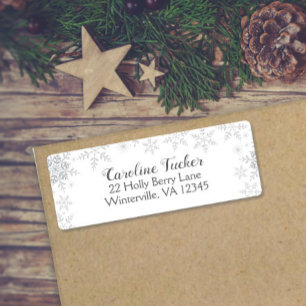 Baby shower d'hiver d'argent Parties scintillant
