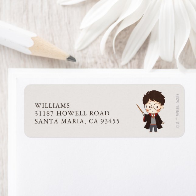 Baby shower Harry Potter simple (En situation)