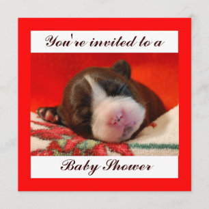 Baby Shower Invitation