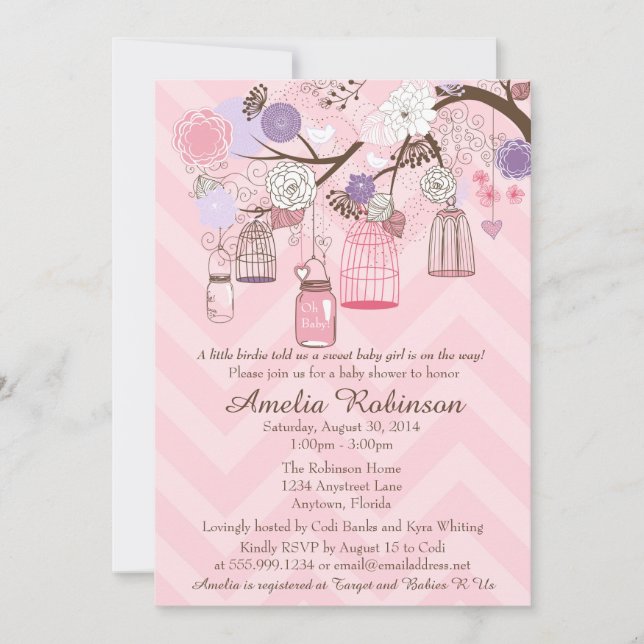 Baby Shower Invitation - Pink Purple Cages & Jars (Front)