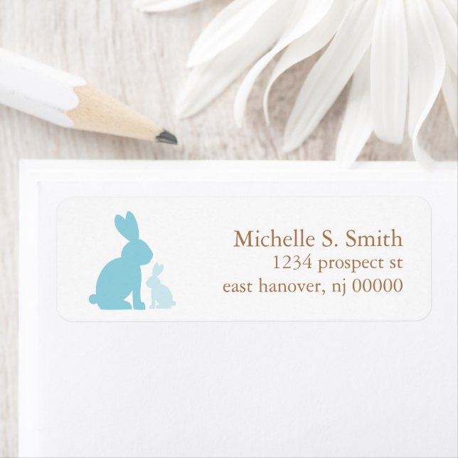 Baby shower Maman et Baby Rabbits (En situation)