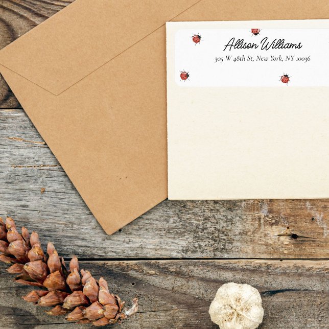 Baby shower minimal de Ladybug (Créateur téléchargé)