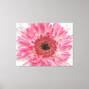 Baby Shower Pink Flower- Pink Design Canvas Print