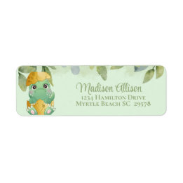Baby shower pour garçons de dinosaures vert