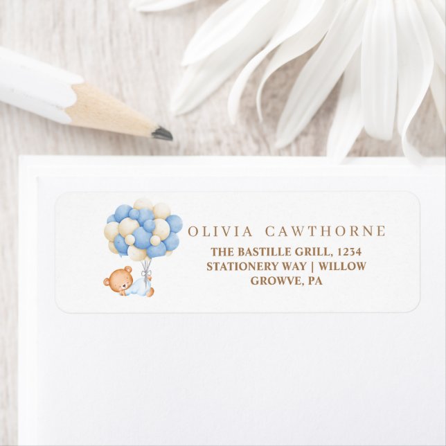 Baby shower Teddy Bear (En situation)