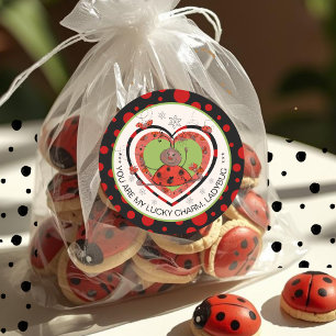 Baby Shower Winner Lucky Charm Ladybug Classic Round Sticker