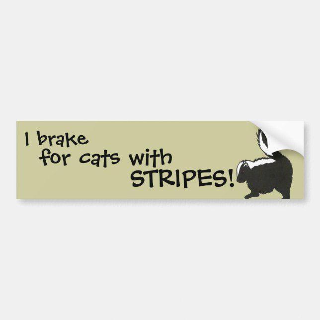 Baby Skunk Bumper Sticker (Front)