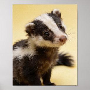 Baby Skunk Portrait Nursery Wall Art