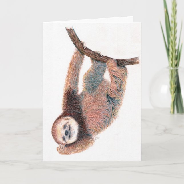 Baby sloth grooming itself card (Front)