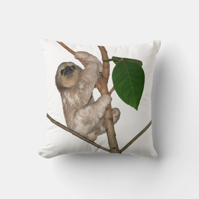 Baby Sloth Throw Pillow (Front)
