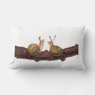 Baby Snail Talk (choose colour) Lumbar Pillow
