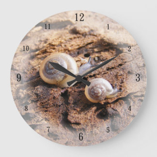 Baby Snails Wall Clock