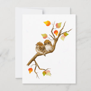 Baby Sparrow Birds Blank Notecards