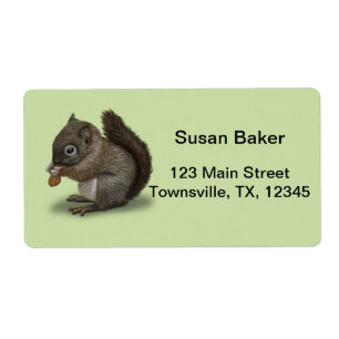 Baby Squirrel
