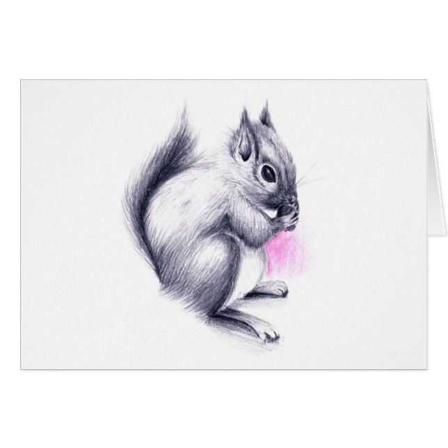 baby squirrel (Front Horizontal)