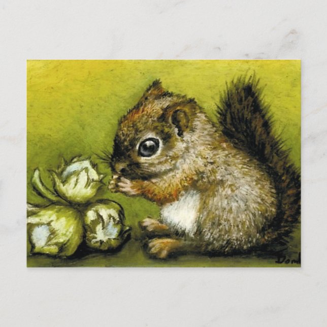 Baby squirrel and hazelnuts postcard (Front)