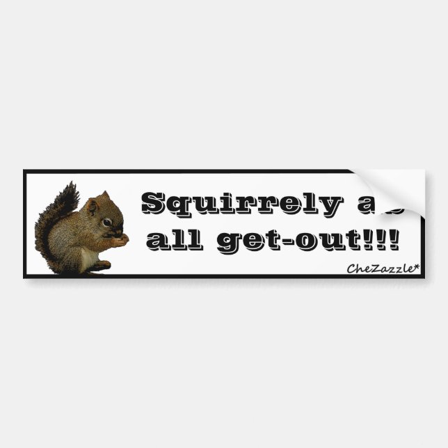 Baby Squirrel Bumper Sticker (Front)